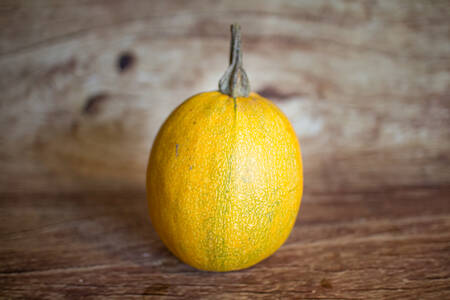 Courge spaghetti mini  BIO