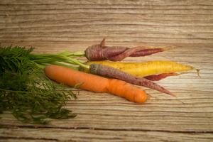 Carotte mix couleur  BIO