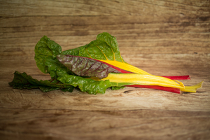 Côte de bette couleurs variées  BIO