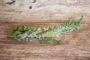 romarin bouquet  BIO