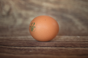 Oeuf  BIO