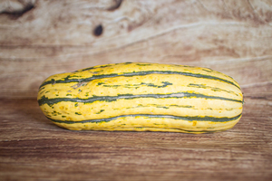 Courge delicata  BIO