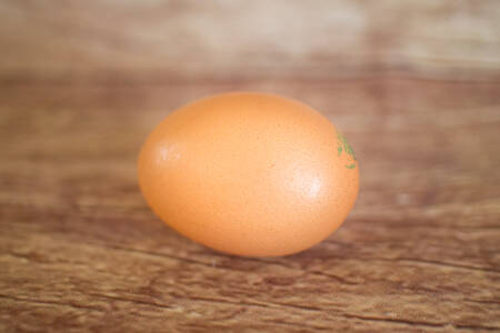 Oeuf enrichi en Omega3  BIO