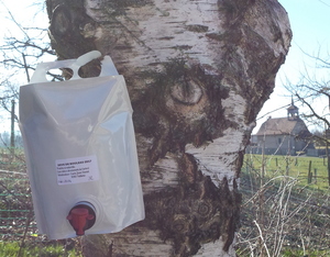 Sève de bouleau nature 3 l BIO