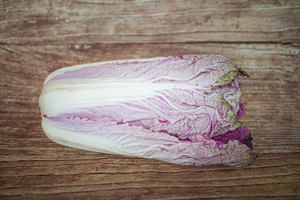 Chou chinois violet  BIO