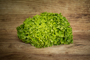 Salade Batavia  BIO